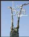 2007 Convention Book of the Diocese of Southwest Florida