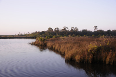 Water Front