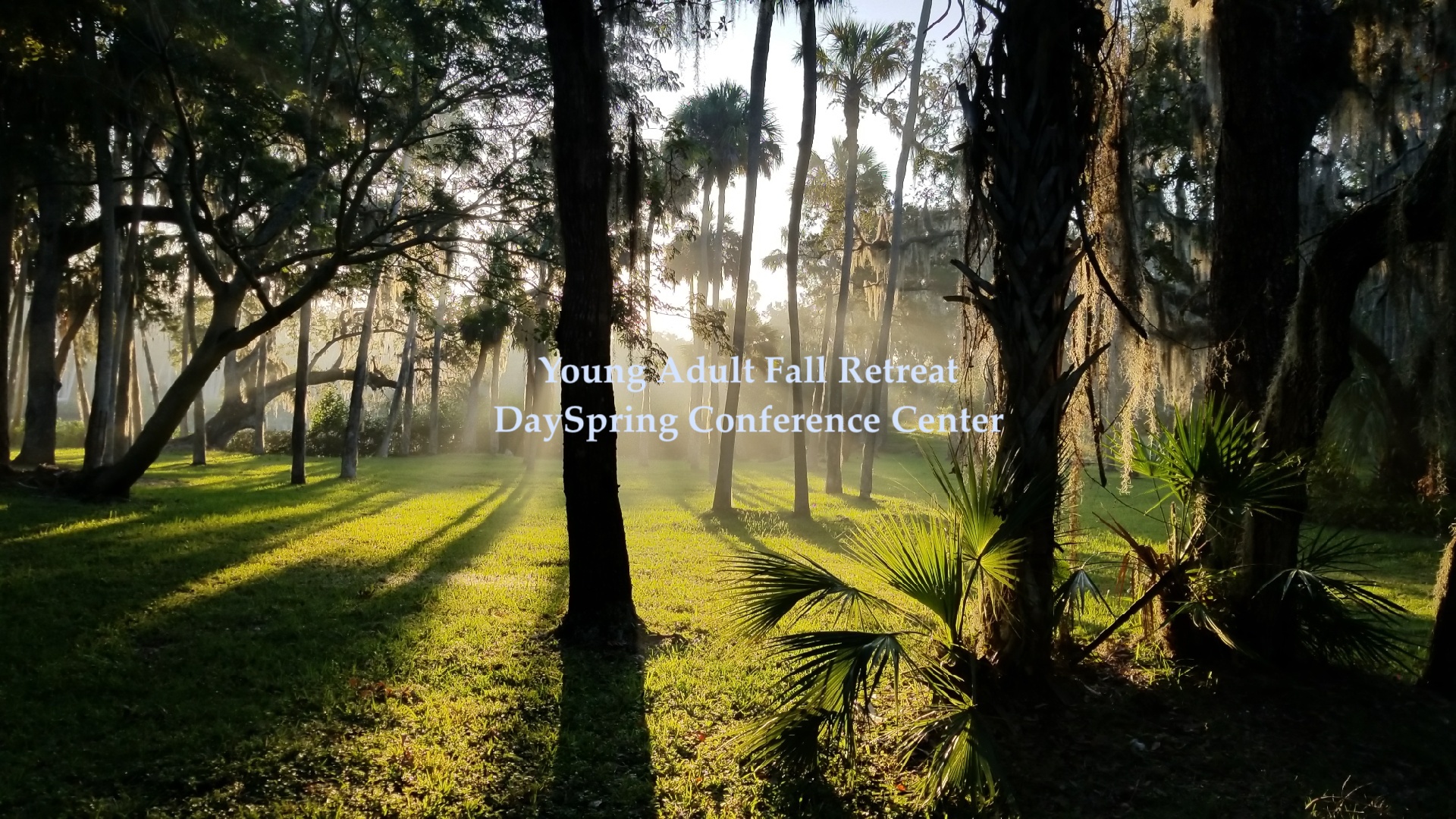 Young Adult Retreat DaySpring